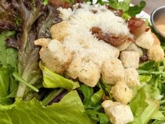 -Tubestation站点比萨(五道营店)