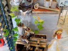 -吃饼人西餐(南开店)