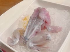 -红牌美蛙鱼头火锅(万辉国际广场店)