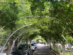 -罗红摄影艺术馆