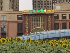 -龙江大舞台旗舰店