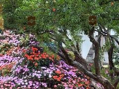 -怡咖啡·自助餐·西安香格里拉