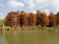 -梁鸿国家湿地公园