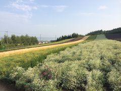 -富田农场