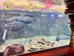 -太平洋海底世界