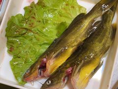 -俏媳妇火锅(宽窄巷子店)