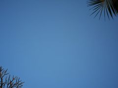 -日落吧·海景咖啡厅·餐酒吧·鸡尾酒·下午茶·乐队表演·浪漫夕阳·三亚文华东方酒店