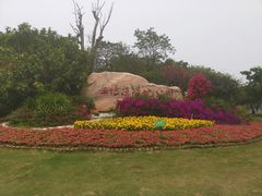 -五缘湾湿地公园
