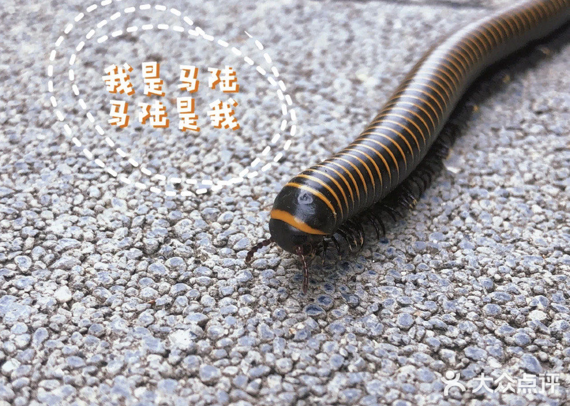 不出京遛娃｜平谷梨树沟休闲区小镇