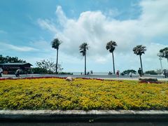 -厦门高崎国际机场-T3航站楼