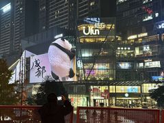 -合景·悠方(成都店)