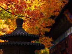 -香山公园