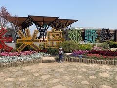 -上海长兴岛郊野公园