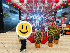 -香港皇家太平洋酒店