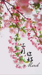 -哈妮儿童摄影(德清店)