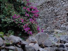 -高荡千年布依古寨旅游景区