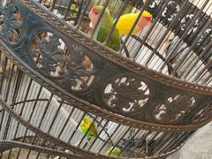 -老味道民宿(栈桥店)