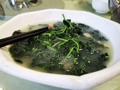 上汤百香叶-姚林轩