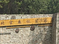 -北宫国家森林公园
