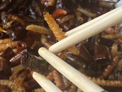 -福照楼汽锅鸡·云南菜(护国路店)