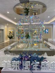 -美莱医疗美容医院