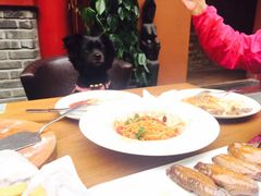 -百好乐宠物友好餐厅(朝外大街店)