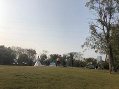-顺峰山公园