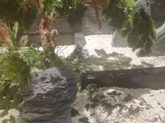 -吉布鲁牛排海鲜自助(成都大悦城店)