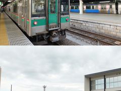 -宫城藏王狐狸村