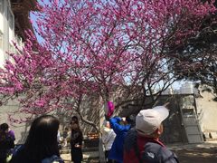 -西安青龙寺遗址景区