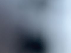 -济南喜来登酒店