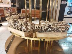 -椰子营·椰子鸡火锅(万象里店)