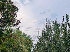 -元大都城垣遗址公园