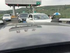 -草原天路(张北县)