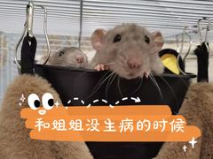 -立德动物医院·24小时中心(番禺区院区)