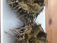 -海胆小馆(东北水饺·春柳店)