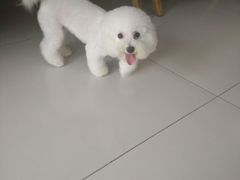 -惠康宠物医院(华能路店)