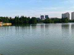 -青枫公园