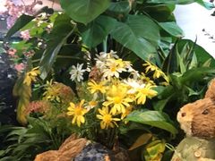 -舌尖上的食缘花园主题餐厅