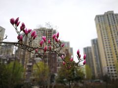 -白塘生态植物园