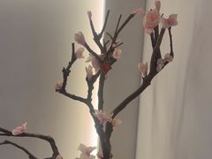 -锦初·禅意4K影院式足道·新中式SPA(茂业天地店)