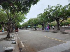 -南沙天后宫景区