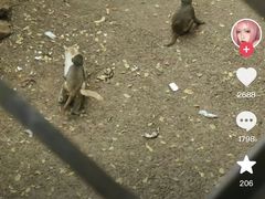 -昆明动物园