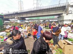 -三圣花乡旅游区