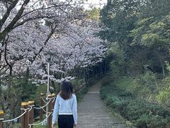 -汉拿树木园