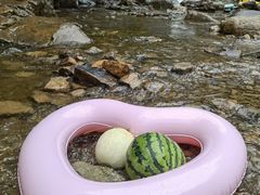 -藏龙百瀑风景区