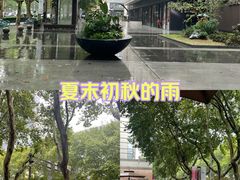 -金茂览秀城
