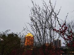 -眉山湿地公园(东坡区)