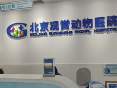 -北京观赏动物医院·24小时大型综合·猫专科·异宠专科