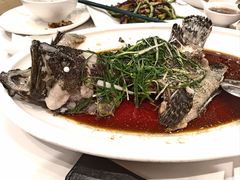 -顺德佬(五和店)